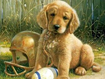 Animals Zoo Park Cute Puppies Wallpaper Puppy