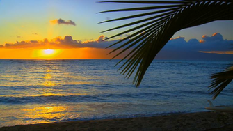 Hawaii Beaches Wallpaper Desktop Image