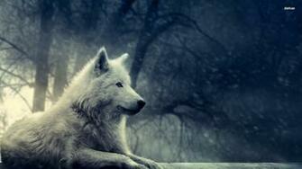 Despre Daci Grey Wolf Digital Art Wallpaper