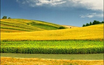 Spring Desktop Nature Wallpaper HD