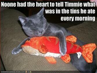 Funny Picture Clip Cool Animal Pictures With Captions