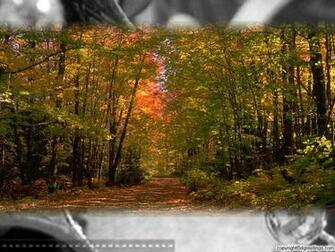 Seasons Wallpaper Season