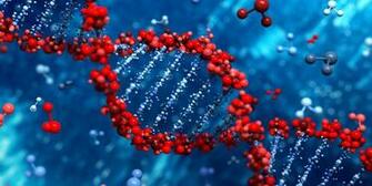Mind The Transcripts Visualizing Rna Expression And Variants