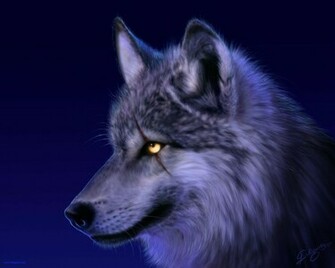 Anime Wolf Wallpaper