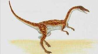 Best Coelophysis Wallpaper