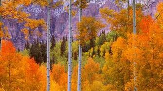 Colorado Cool Background And Wallpaper For Your Desktop