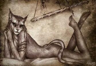 Skyrim Beautiful Image Immagine Femmina Khajiit Kahjiit Sexy