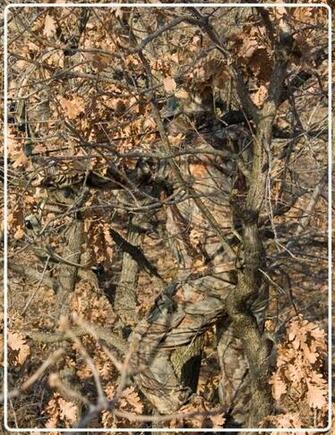 Hunting Camo Wallpaper Different