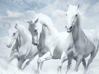 Hourse Wallpaper Sf