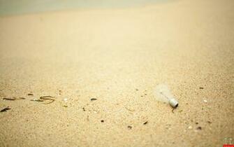 Bulb On Sand Of Beach HD Wallpaper E Entertainment