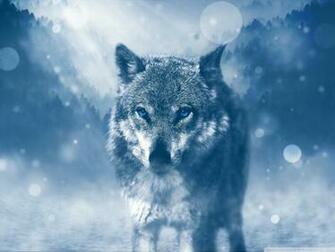 Wolf Winter 4k HD Desktop Wallpaper For Ultra Tv Wide