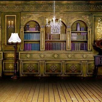 Indoor Room Bookshelf Backdrop Photography Bookcase Floor