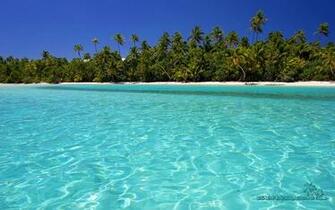 Background Tropical Crystal Clear Wallpaper