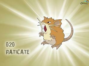 Raticate Wallpaper