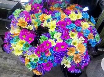 Bright Neon Flowers While Browsing The