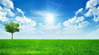Sunny Blue Sky Wallpaper Nature