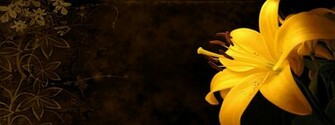 3d Flowers Wallpaper Pictures Red