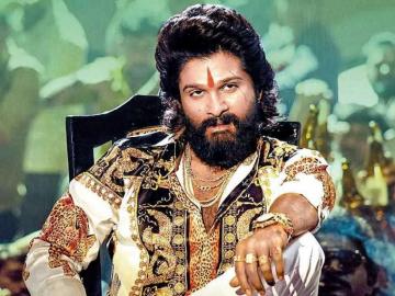 Pushpa Re The Rise Movie Highlights Allu
