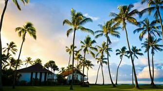 Waikiki Wallpaper Scenery