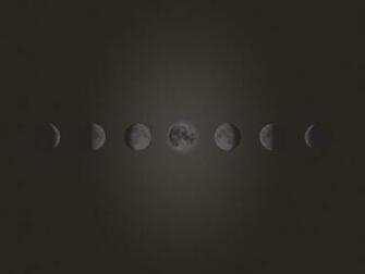 Bie Phases Of The Moon Wallpaper Maddison Designs