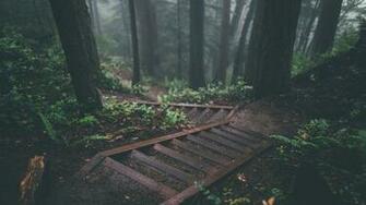 Chill Wallpaper