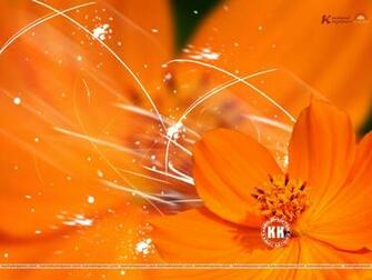 Wallpaper Best Orange Color Pictures Desktop