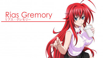High School Dxd Wallpaper