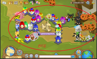Animal Jam Fox Wallpaper Wolf S Insiders