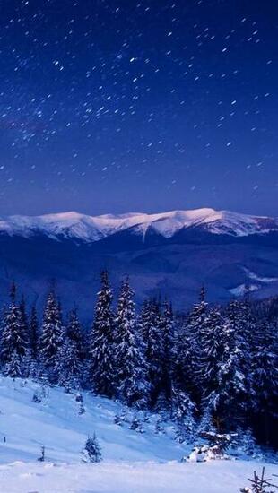 Star Forest Night Home Mountains Trees iPhone 5s Wallpaper