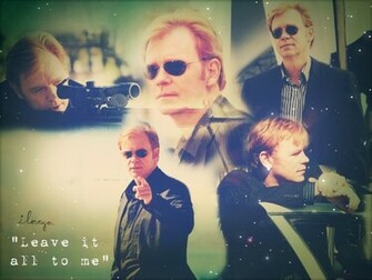 Horatio Caine David Caruso Wallpaper