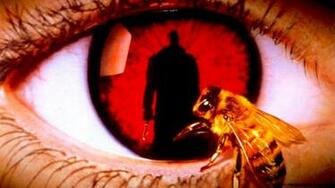 Let S Give Jordan Peele Candyman Remake A Chance To Intrigue
