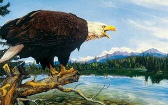 Mighty Bald Eagle High Quality And Resolution Wallpaper