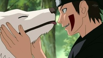 Kiba From Naruto Shippuden Wallpaper