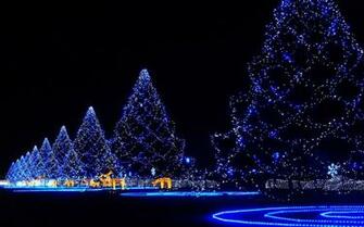 Lighted Christmas Tree Rabbssteak House