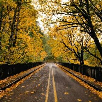 Autumn Road iPad Wallpaper iPhone