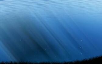 Inside Lake HD Wallpaper
