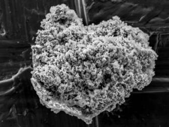 News Space Comet Dust Found In Antarctica Researchers
