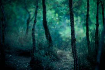 Dark Nature Background Wallpaper