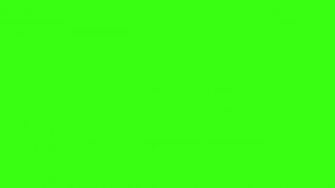 Neon Green Solid Color Wallpaper X Wallpaperlayer