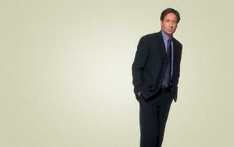 David Duchovny HD Wallpaper Background Image Id