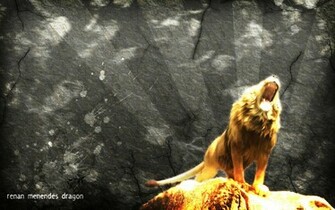 Aslan Wallpaper By Lognos