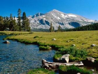 Nature Yosemite National Park