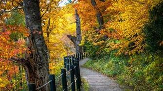 Beautiful Autumn Mac Wallpaper