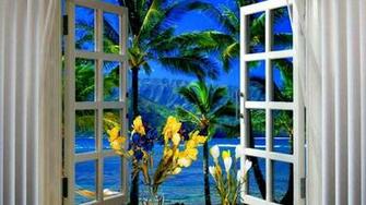 The Window Wallpaper HD Pw