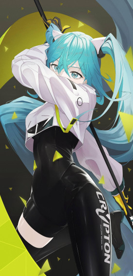 Racing Miku R Hatsune
