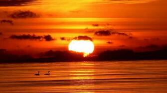 Wallpaper Collection Beach Sunset