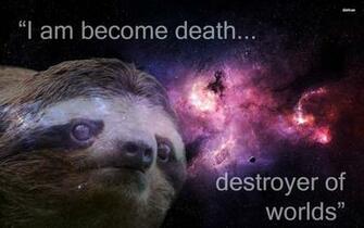 Sloth Wallpaper Funny