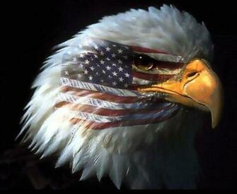 Eagle American Flag Wallpaper Dowload