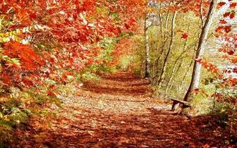 Wallpaper Beautiful Autumn Scenery