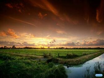 Nature Wallpaper High Definition Unique HD